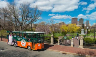 Trolley Tour